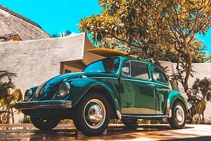 beetle